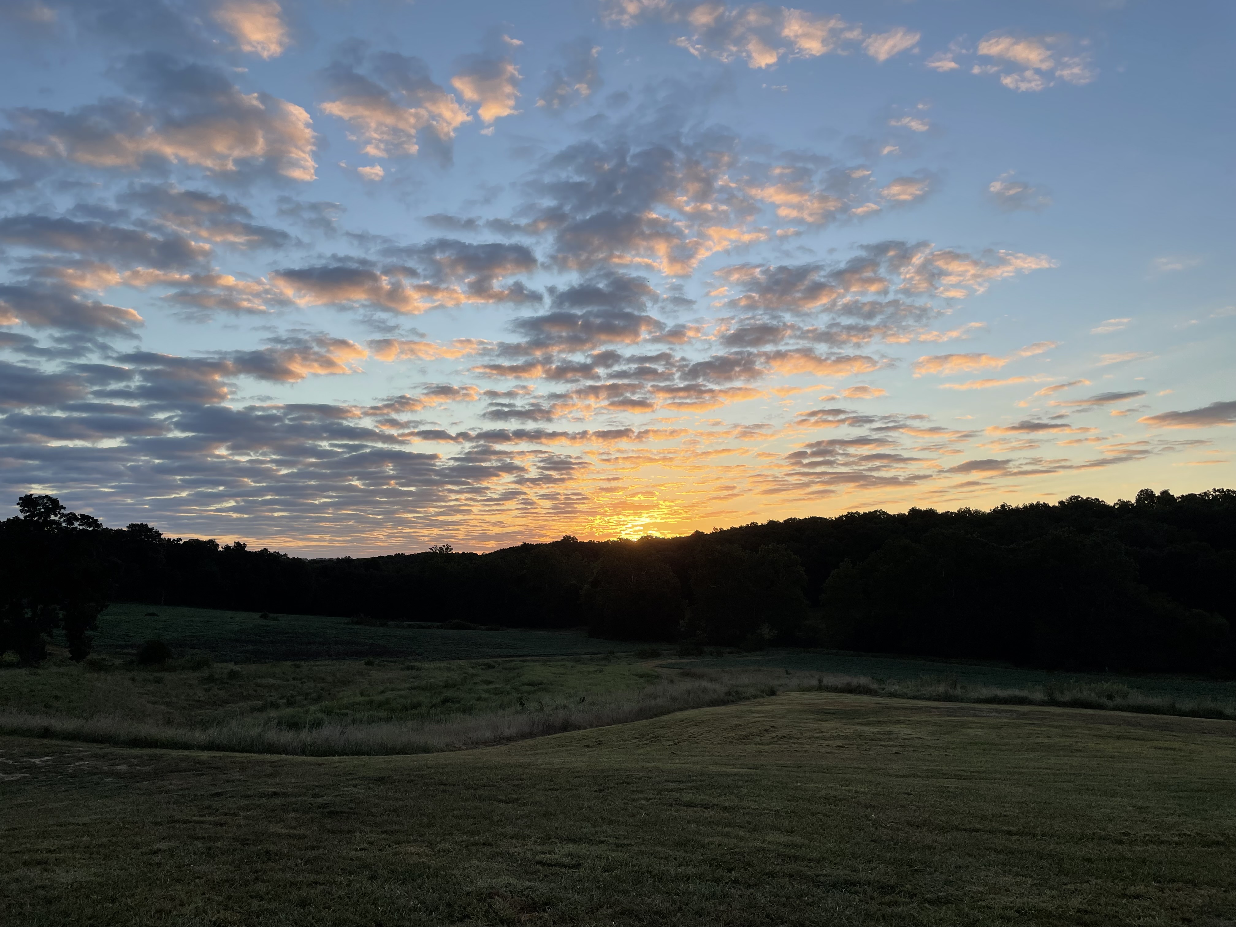 farm sunrise